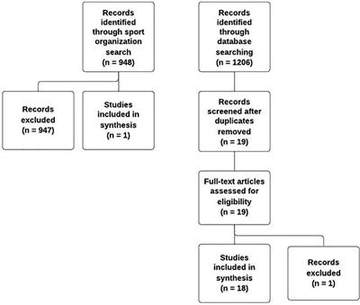 Implementing a scoping review to explore sport officials' mental health